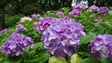 shutterstock-1935958723_irecept-full