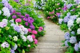AdobeStock_23405882