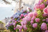 AdobeStock_142184061.0