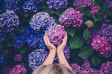 GettyImages-678836203