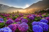 nastol.com.ua_293710
