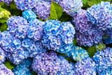 AdobeStock_119089803