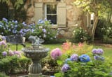 hydrangeas-surrounding-a-bird-bath-royalty-free-image-1650296386