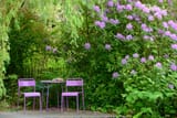 garden-patio-near-waters-edge-royalty-free-image-1650314142