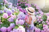 little-girl-is-in-bushes-of-hydrangea-flowers-in-royalty-free-image-1650287711