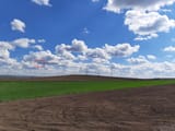 1682185488933576