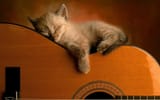 SleepingSoundly