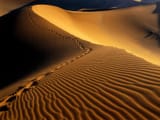 Footprints_Namib_Desert_Namibia_Africa