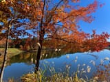 Autumn in Georgia