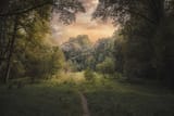 North Georgia summer evening