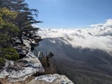 Cliffs of Yonah