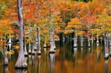 George Smith State Park