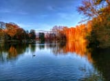 Piedmont Park
