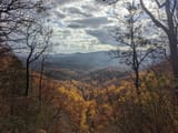 Amicalola