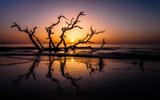 Jekyll Island, early summer