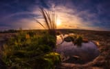 Arabia Mountain