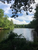 A small lake in early June