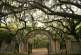 Gates of Wormsloe Plantation