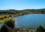 Mercier Orchards, Blue Ridge