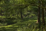 East Decatur Greenway