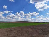 planegone