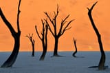 namib-desert