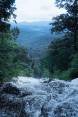 Top of Amicalola Falls