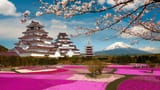 FujiCastle