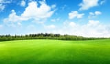 Sky-Grass-Pics-08511