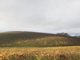 Bliss_(location)