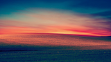 bliss_morning