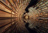 Shattered library