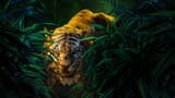 Shere Khan