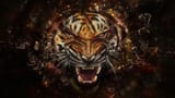 Tiger (3)