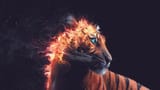 Flame Tiger