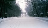 superiapremium400032020011 (2)