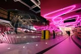 The Public - Pink Lines