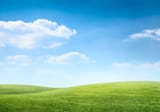 image_154930429