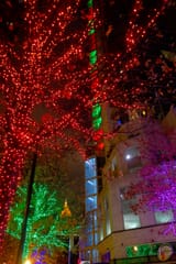 Atlanta Christmas