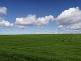 IMG_20190614_110821
