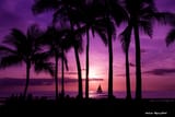 Waikiki Sunset