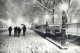 New York City - Winter - Snow Falls on 5th Avenue