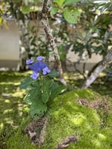 IMG_5825