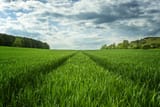 1267970-Horizont-green-fields-blue-sky-Harz-landscape