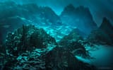 david-sarda-under-the-sea