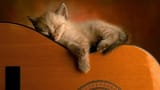 Sleeping Soundly