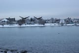 IMG_2222