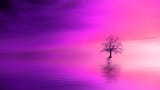 tree_pink_horizon_lonely_4k_hd