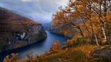 wallhaven-49lqkx_1920x1080