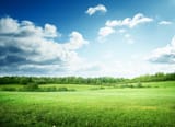iStock-530482268